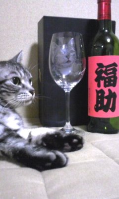 猫オーダーメイドワイングラス
